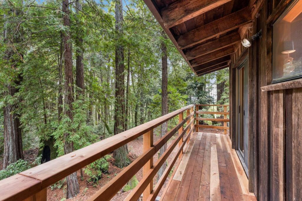 Grandma'S Cabin By The Sea Gualala Exterior photo