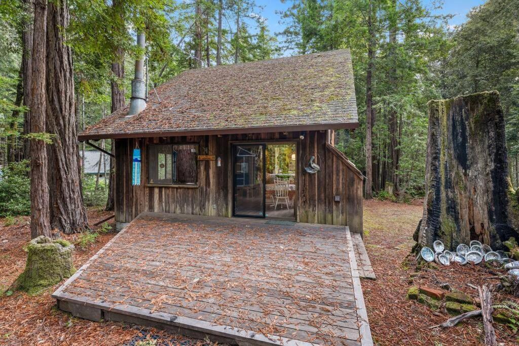 Grandma'S Cabin By The Sea Gualala Exterior photo